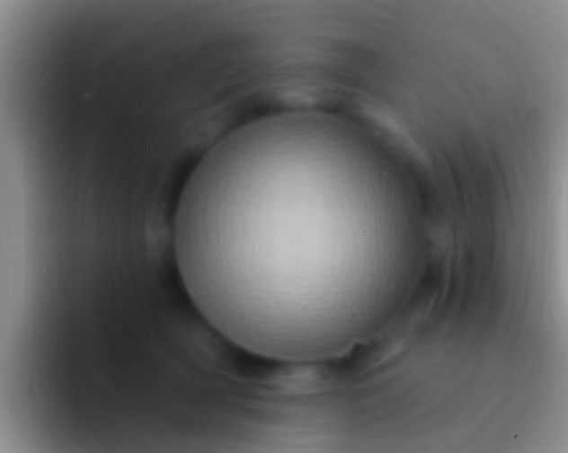 X0000092110418200709262202