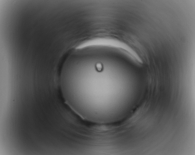 X0000092110419200709262202