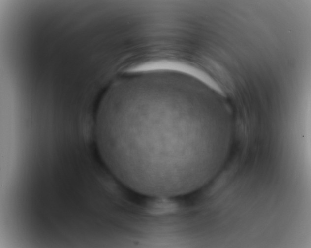 X0000092110421200709262202