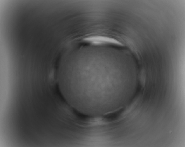 X0000092110428200709262202