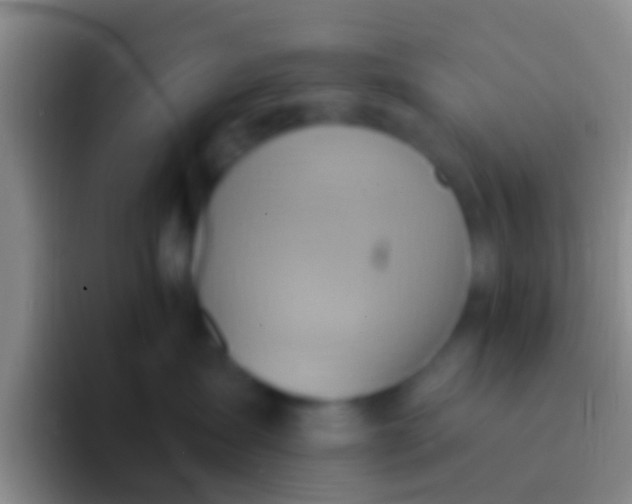 X0000092110431200709262202