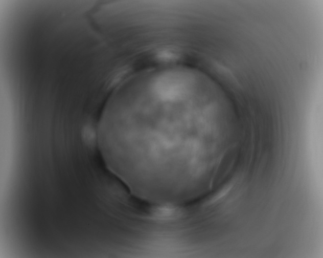 X0000092110432200709262202