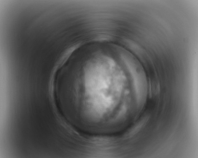 X0000092110435200709262202