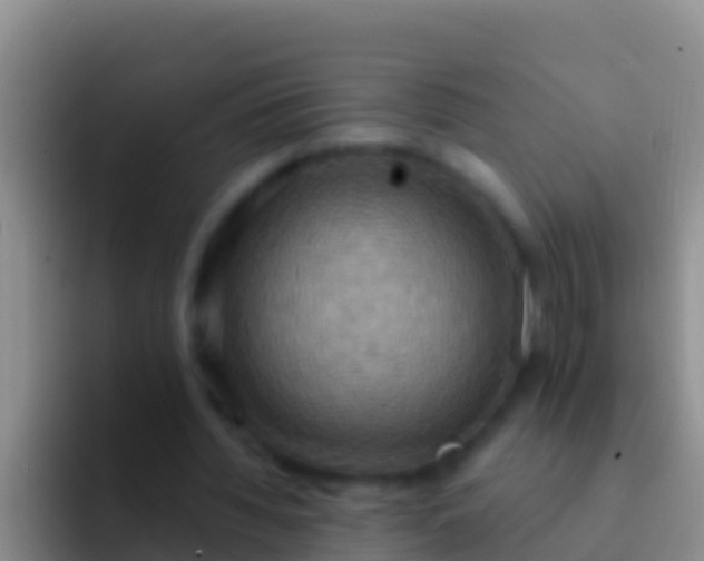 X0000092110436200709262202