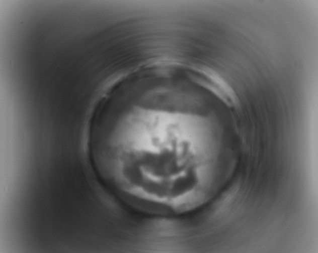 X0000092110437200709262202