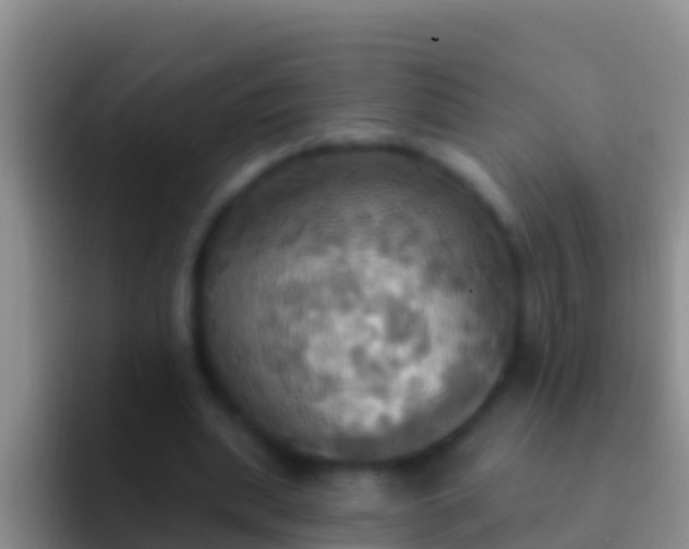 X0000092110439200709262202