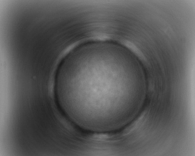 X0000092110440200709262202