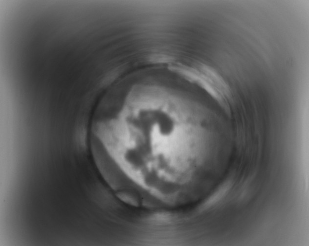 X0000092110441200709262202