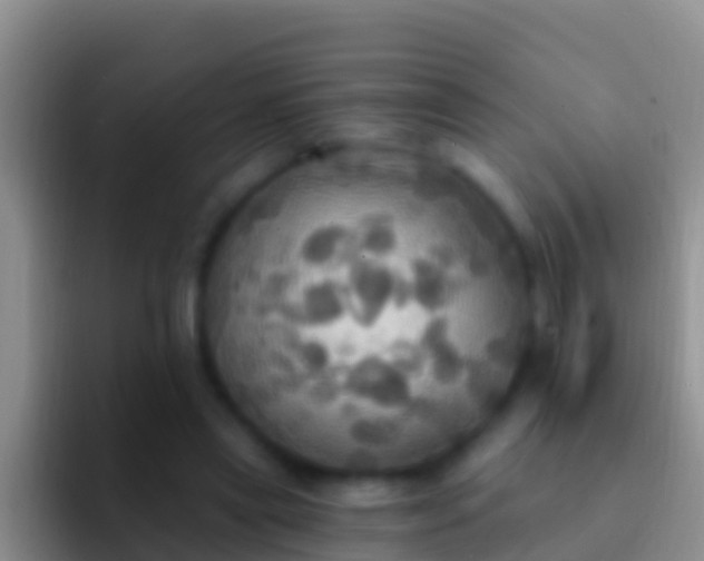 X0000092110445200709262202