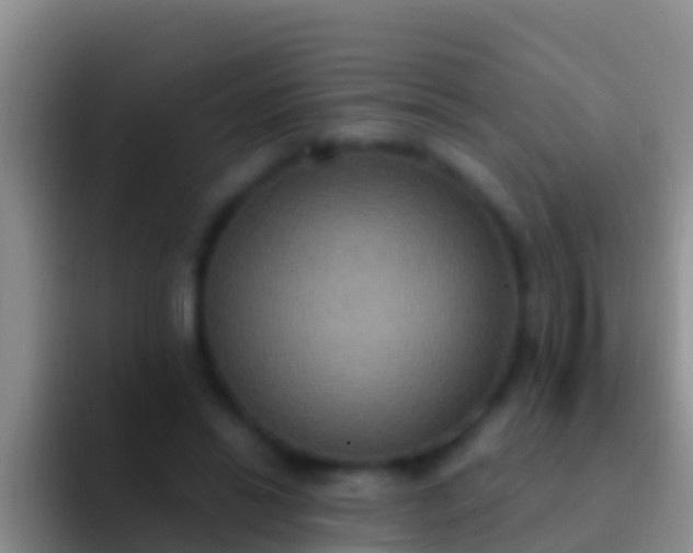 X0000092110446200709262202