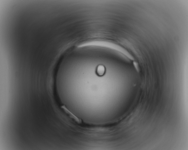 X0000092110448200709262202