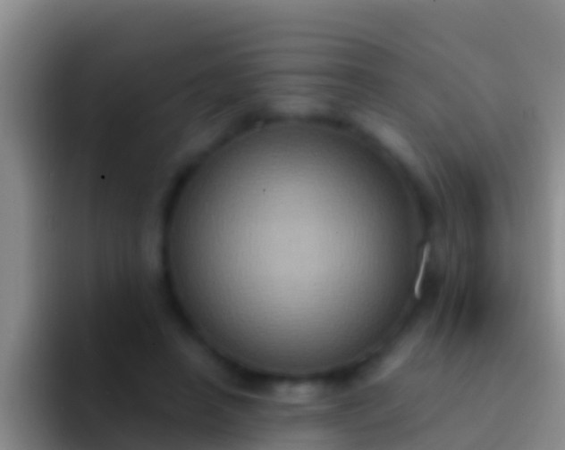 X0000092110450200709262202