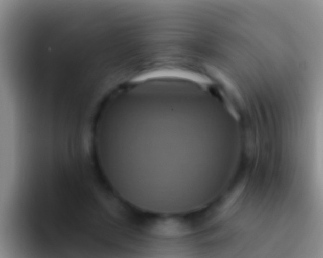 X0000092110451200709262202