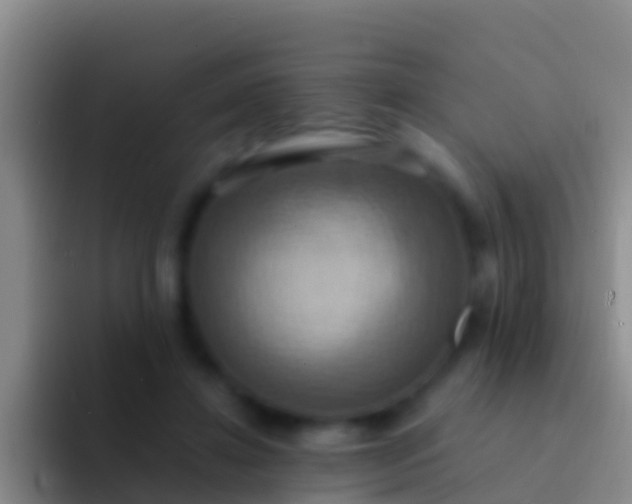 X0000092110452200709262202