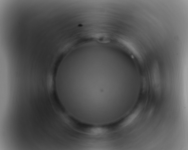 X0000092110453200709262202