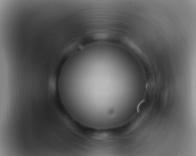 X0000092110454200709262202