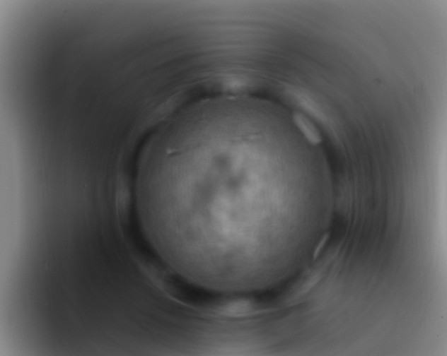 X0000092110456200709262202