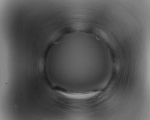 X0000092110458200709262202