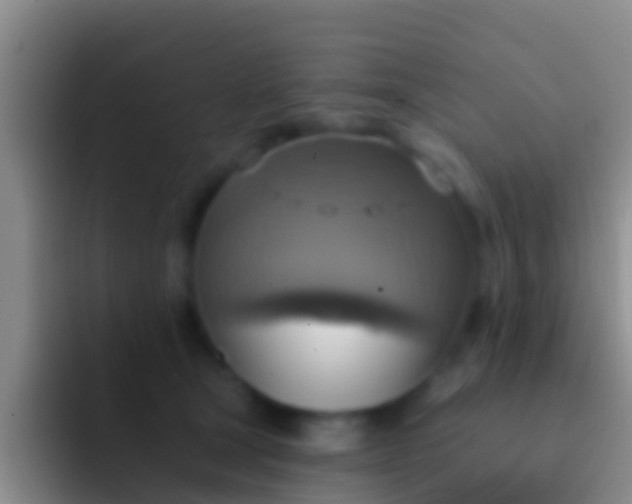 X0000092110465200709262202