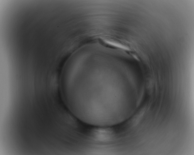 X0000092110466200709262202