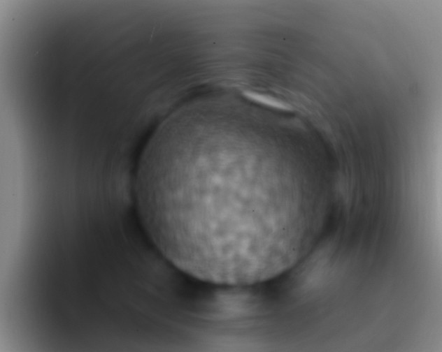 X0000092110470200709262202