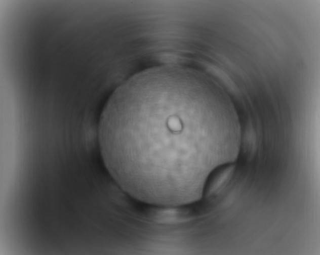 X0000092110473200709262202