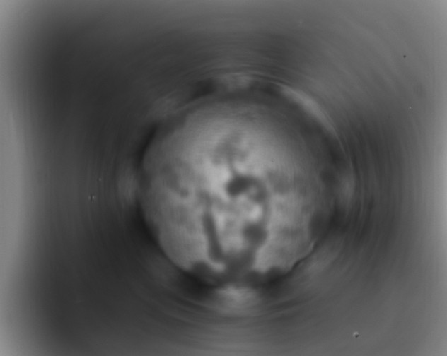 X0000092110477200709262202