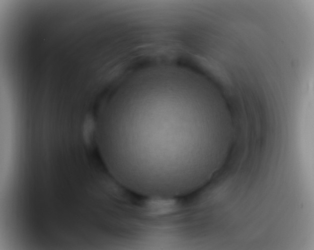 X0000092110480200709262202