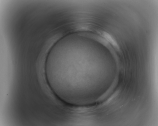 X0000092110481200709262202