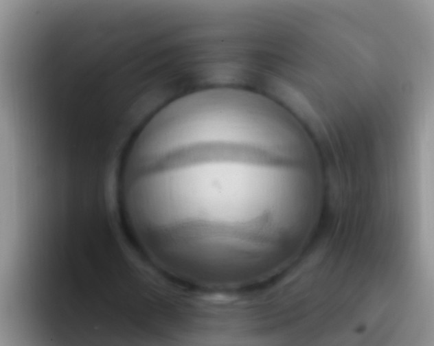 X0000092110482200709262202