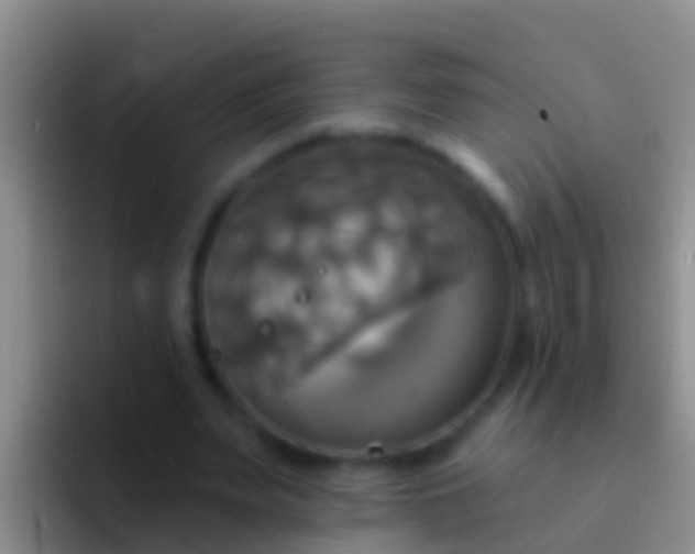 X0000092110487200709262201