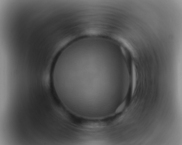 X0000092110488200709262201