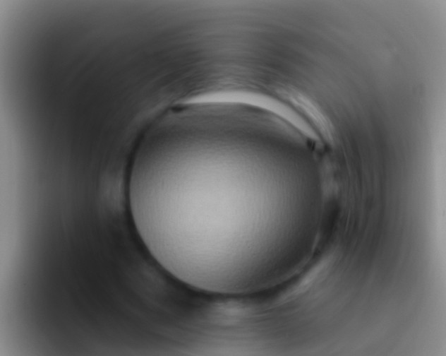 X0000092110489200709262201