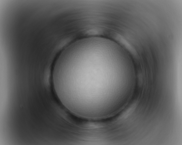 X0000092110490200709262201