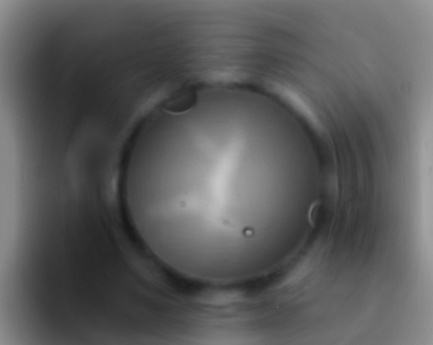 X0000092110491200709262201