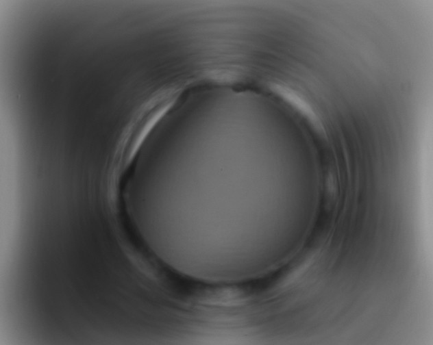 X0000092110492200709262201