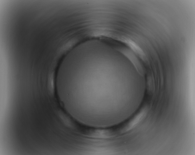 X0000092110493200709262201