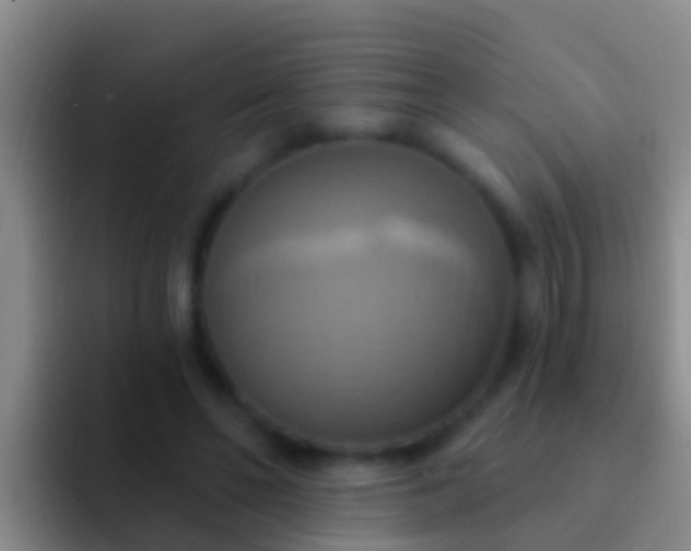 X0000092110494200709262201