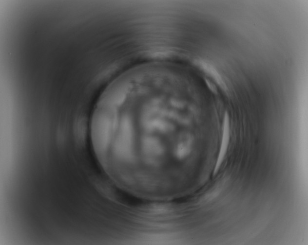 X0000092110495200709262201