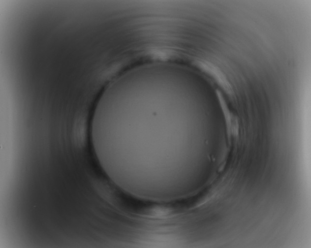 X0000092110496200709262201