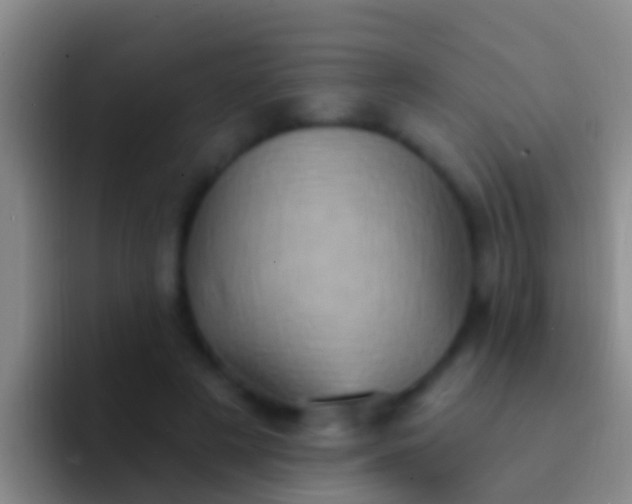 X0000092110497200709262201