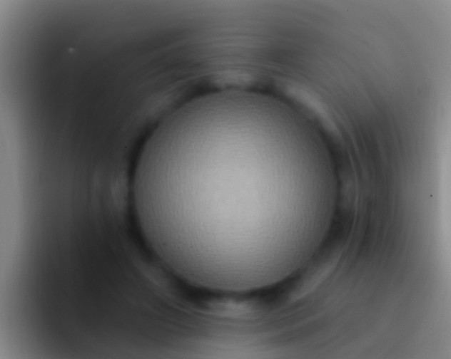 X0000092110498200709262201