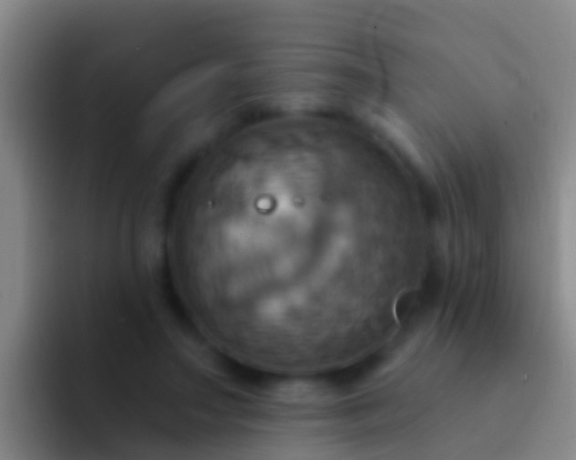 X0000092110499200709262201