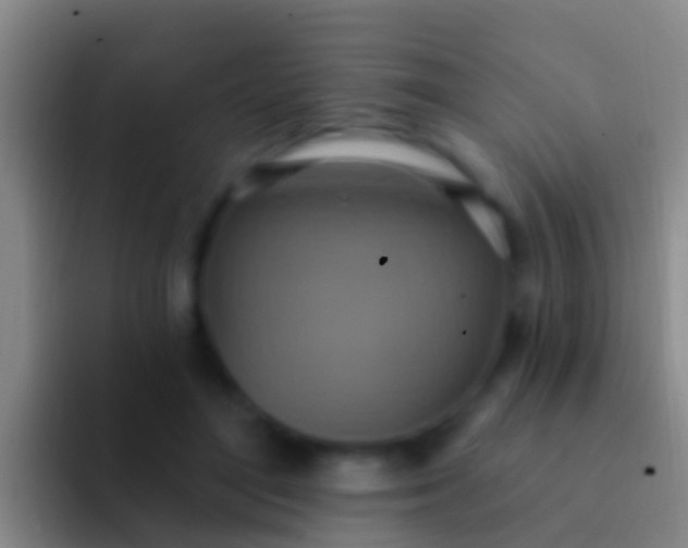 X0000092110500200709262201