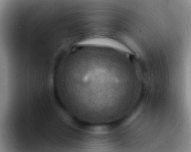 X0000092110501200709262201