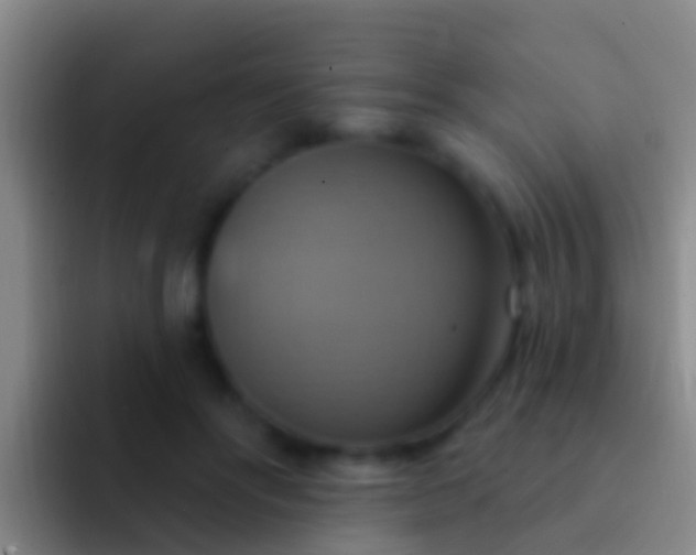 X0000092110502200709262201