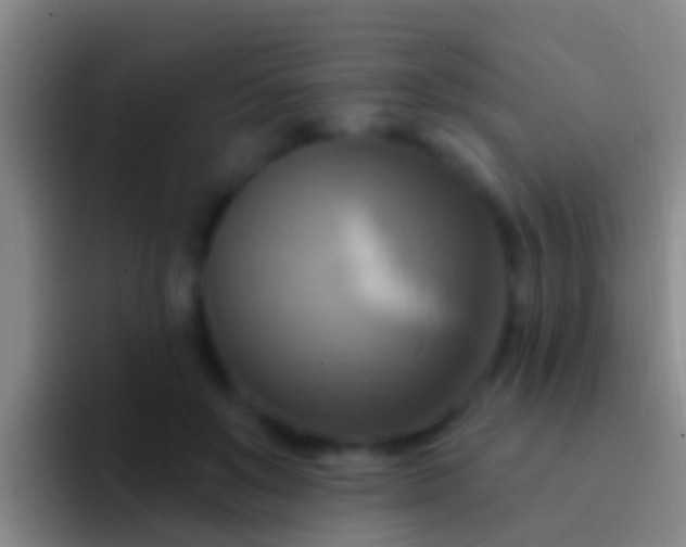 X0000092110503200709262201