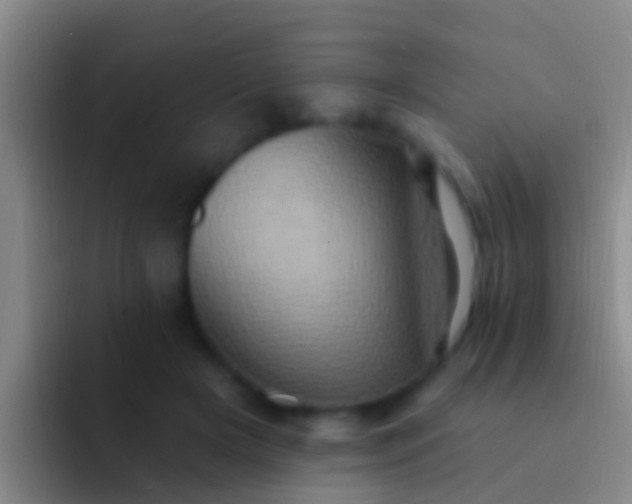 X0000092110505200709262201