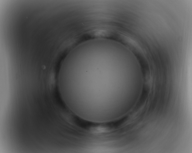 X0000092110506200709262201