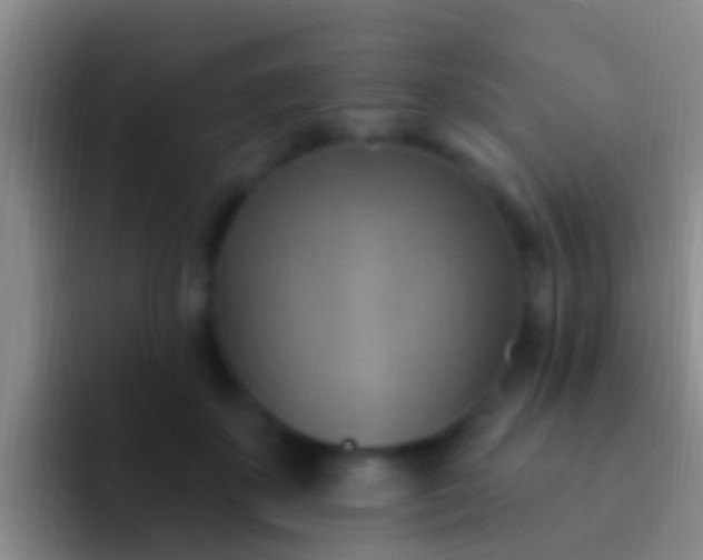 X0000092110507200709262201